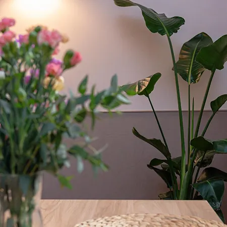 Apartment Palazzo Borgia Ai Banchi Vecchi Rome
